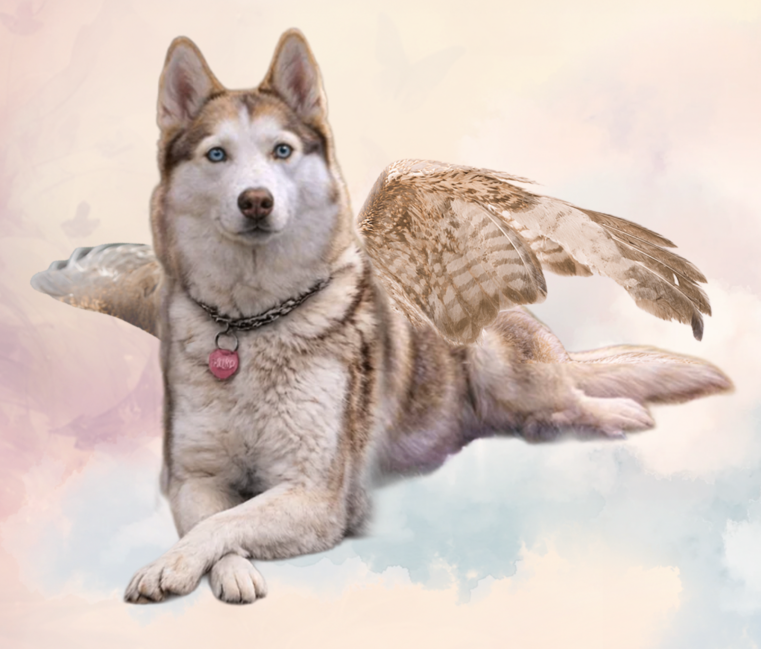 Fur-Ever Loved