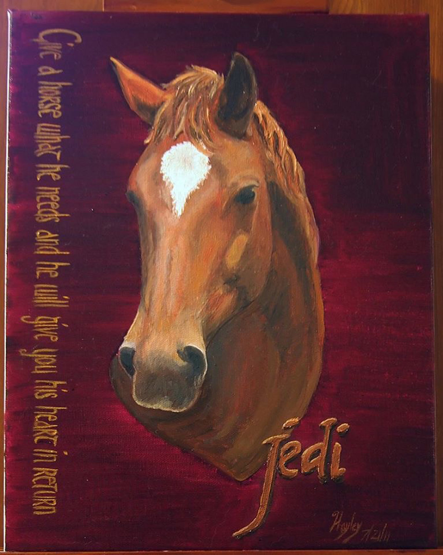 Jedi — Equine Portrait